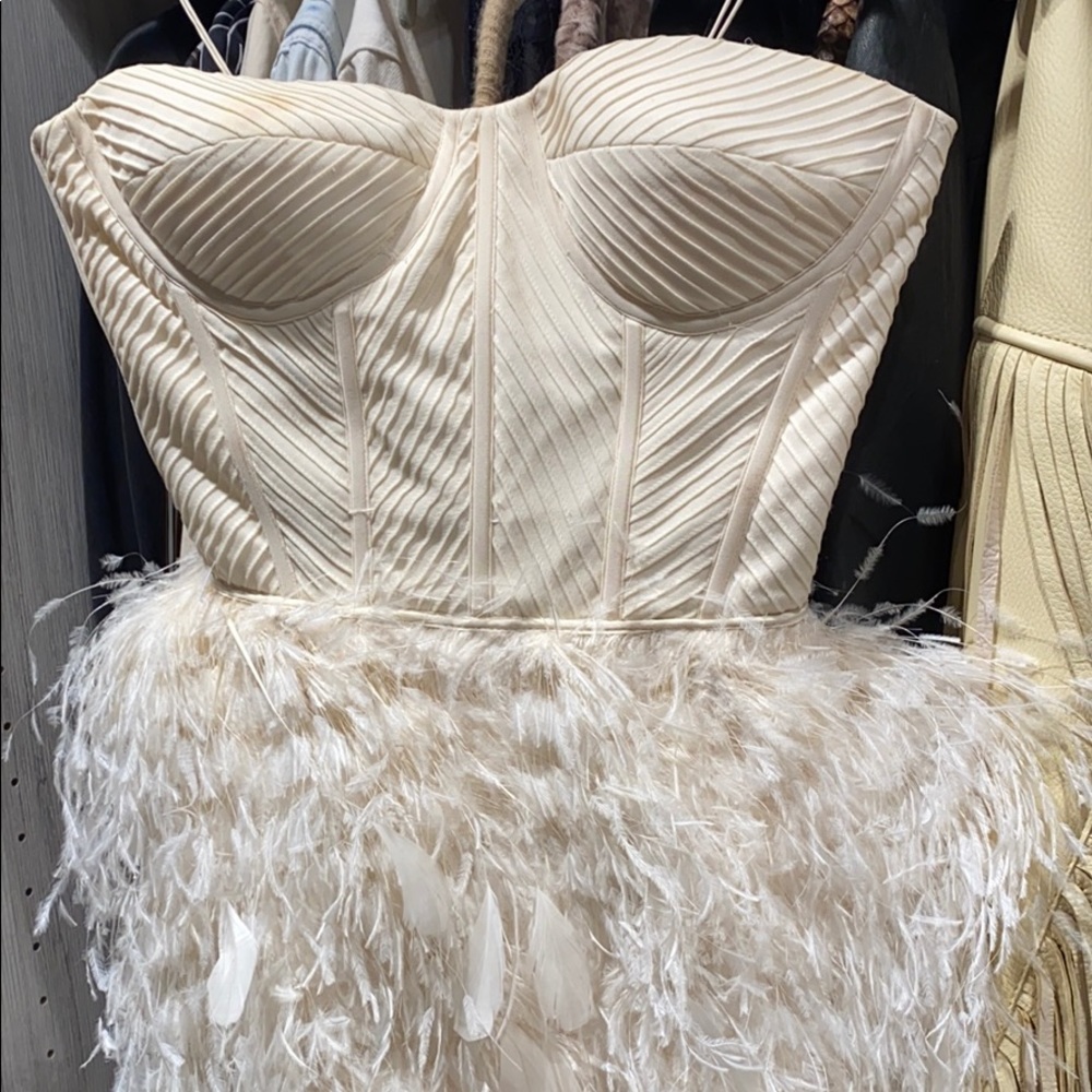 Gorgeous feather corset dress